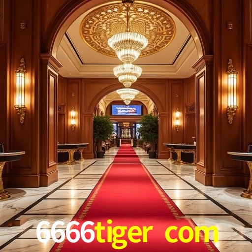 Apostas de Tênis 6666tiger com